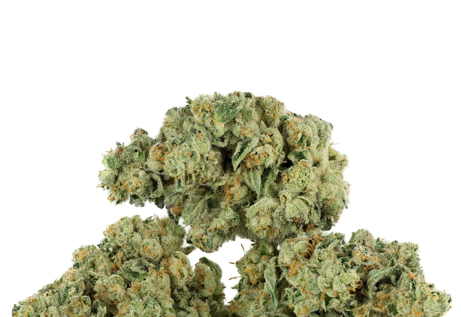 Cured Canadian cannabis flower graded and weighed before packing