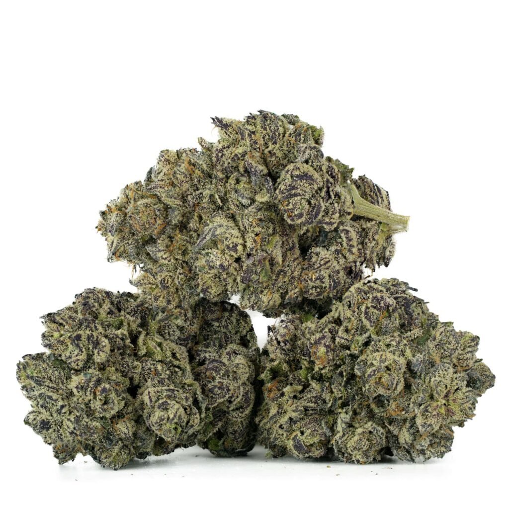 Black Truffle