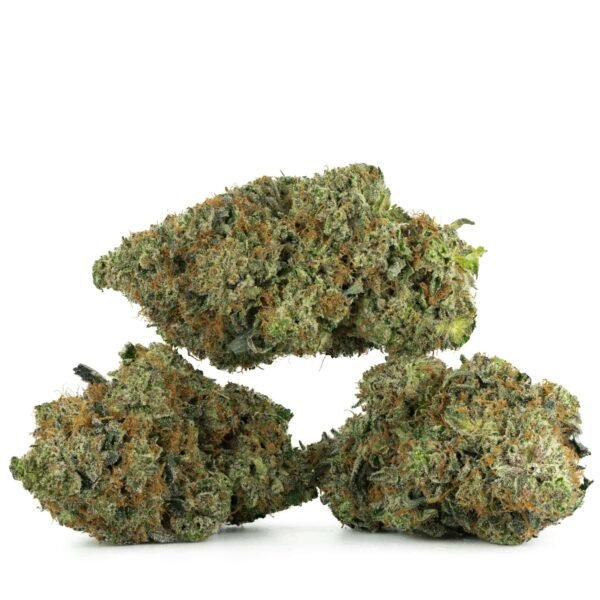 Comatose OG
