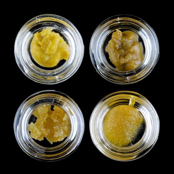 High Voltage Extracts Bundle