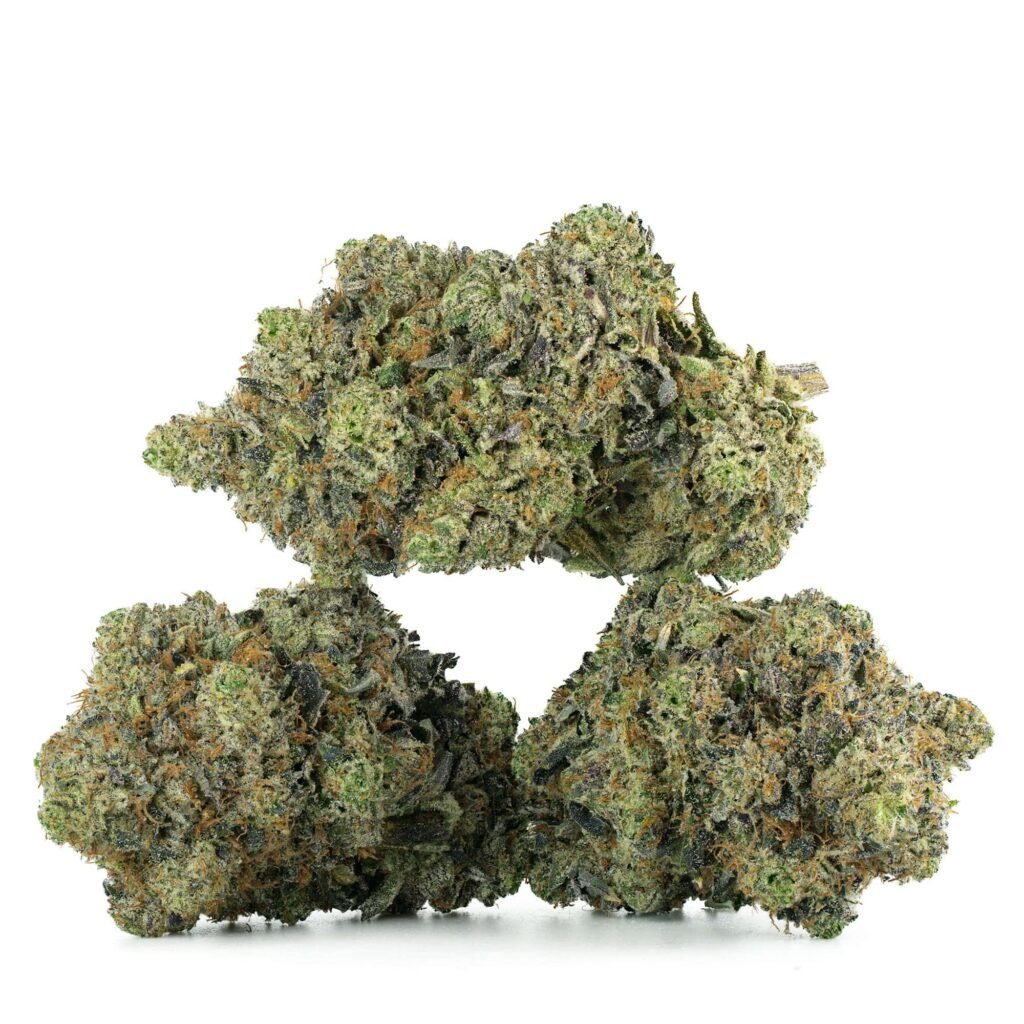 King Louis XIII