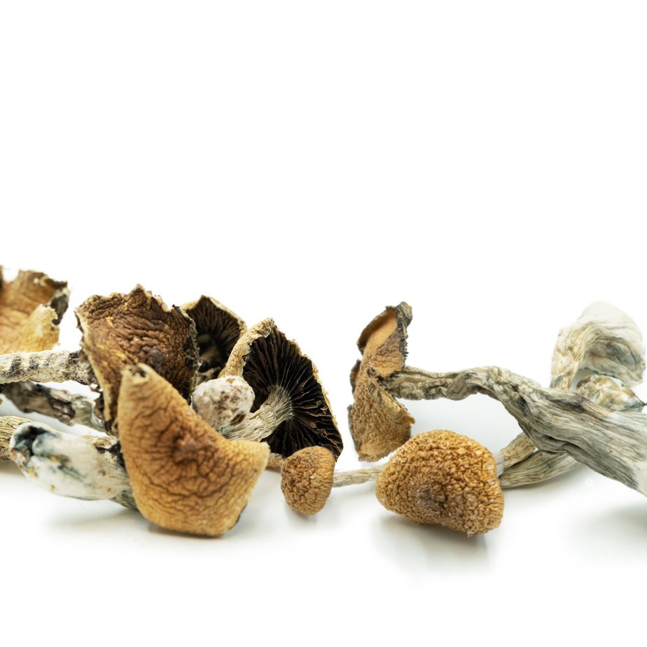Dried Mushrooms Mix & Match Ounce