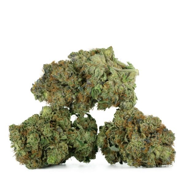 Master Kush