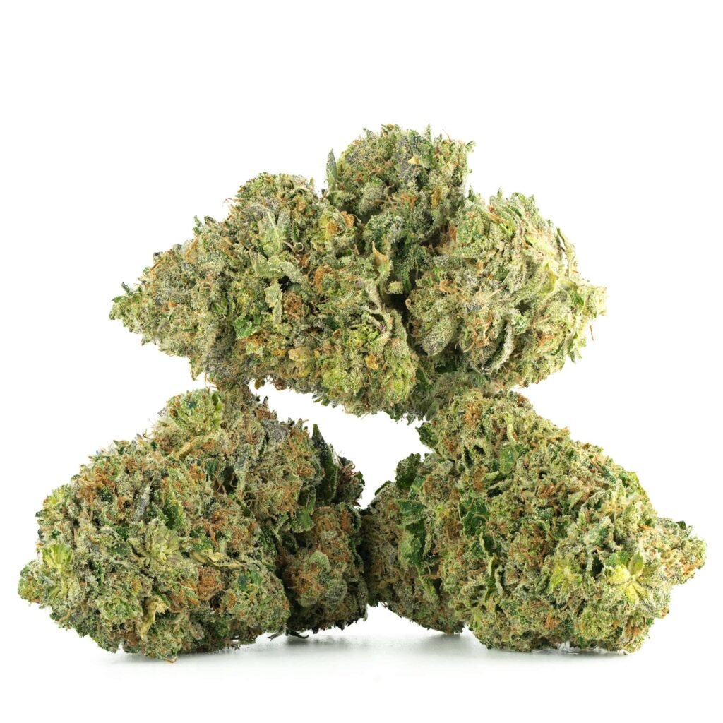Northern Lights