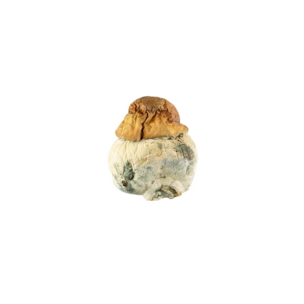 Texas Yellow Cap
