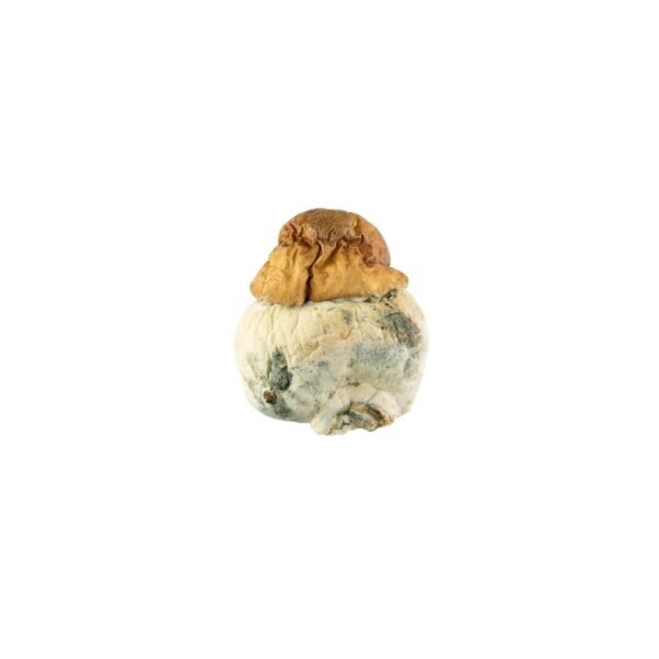 Texas Yellow Cap